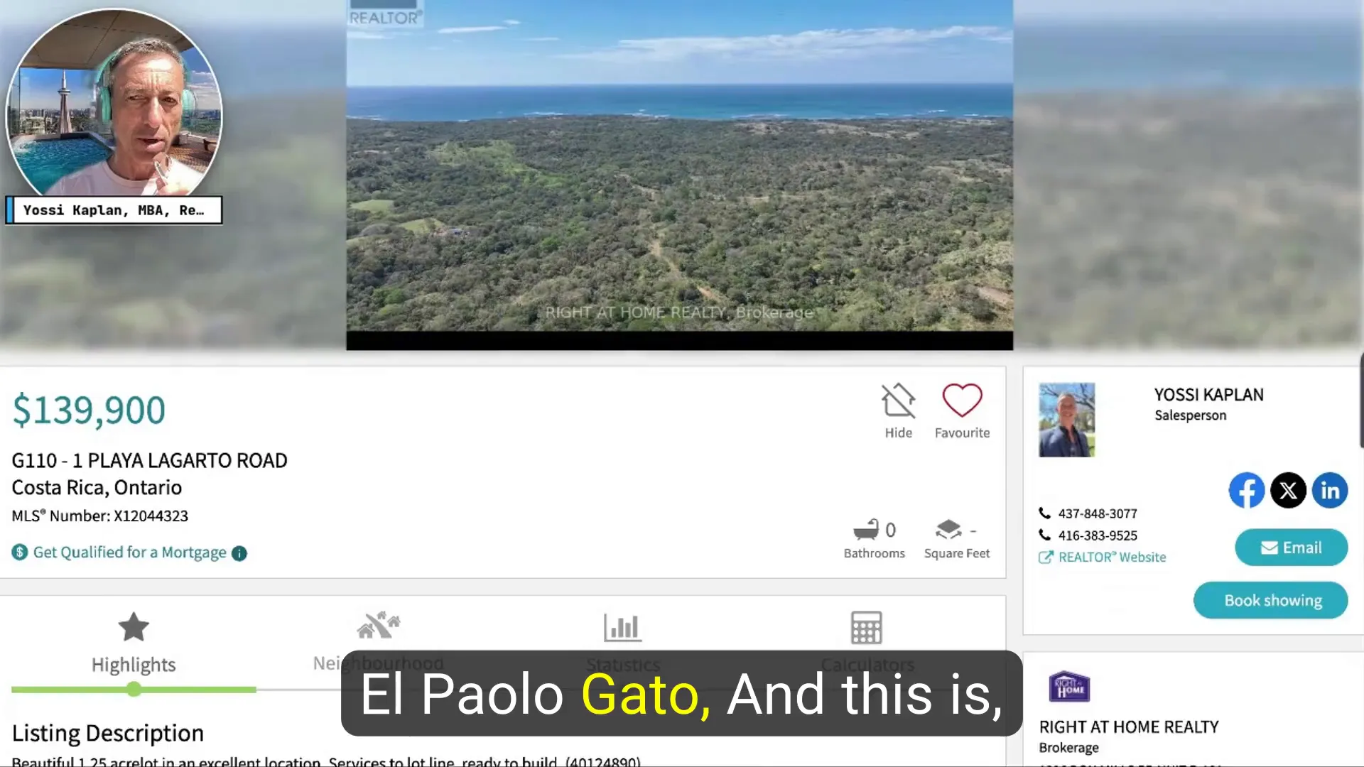 Screen capture of Plagarto Real Estate website
